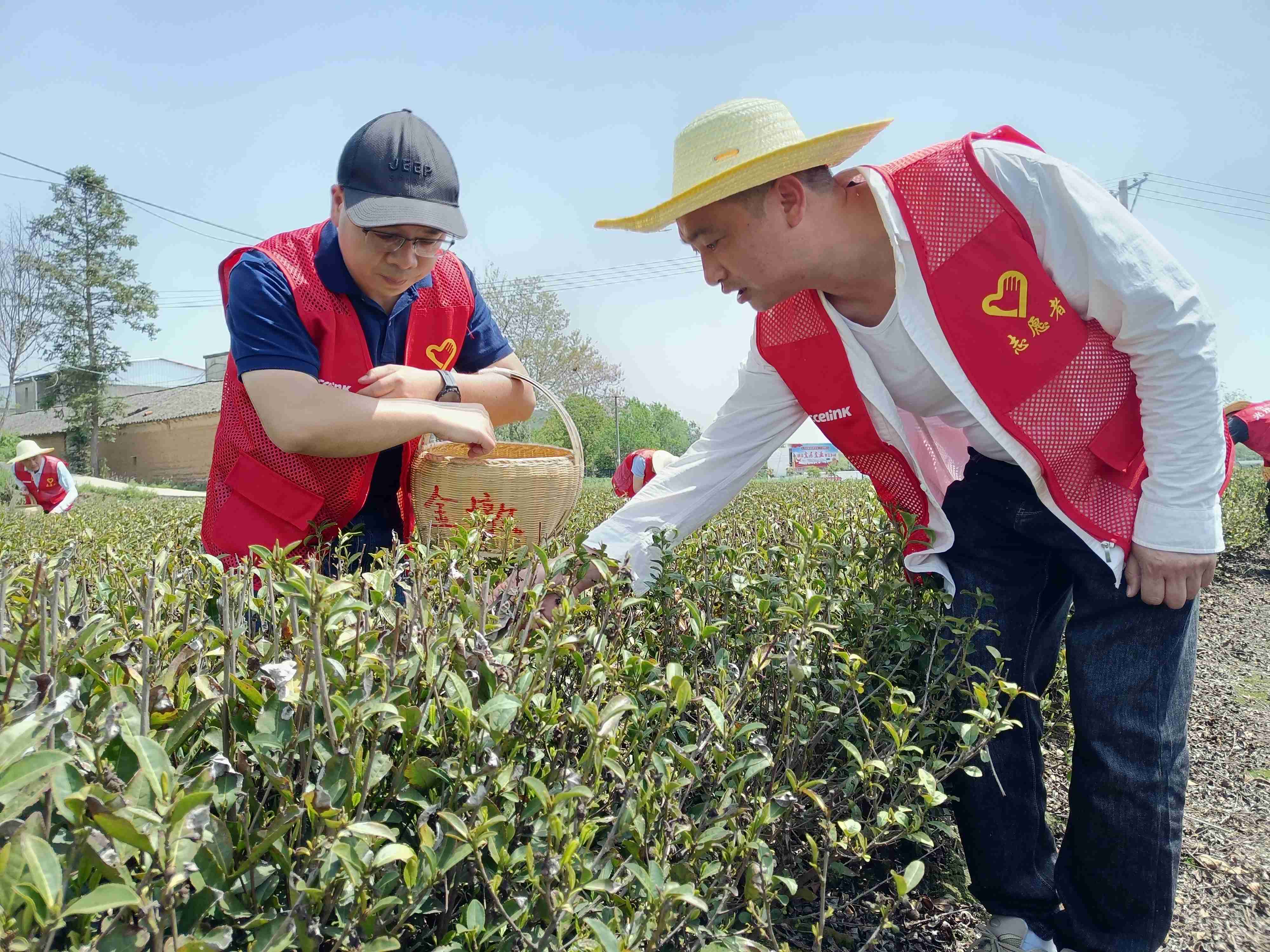 问鼎娱乐app(中国)官网下载入口
